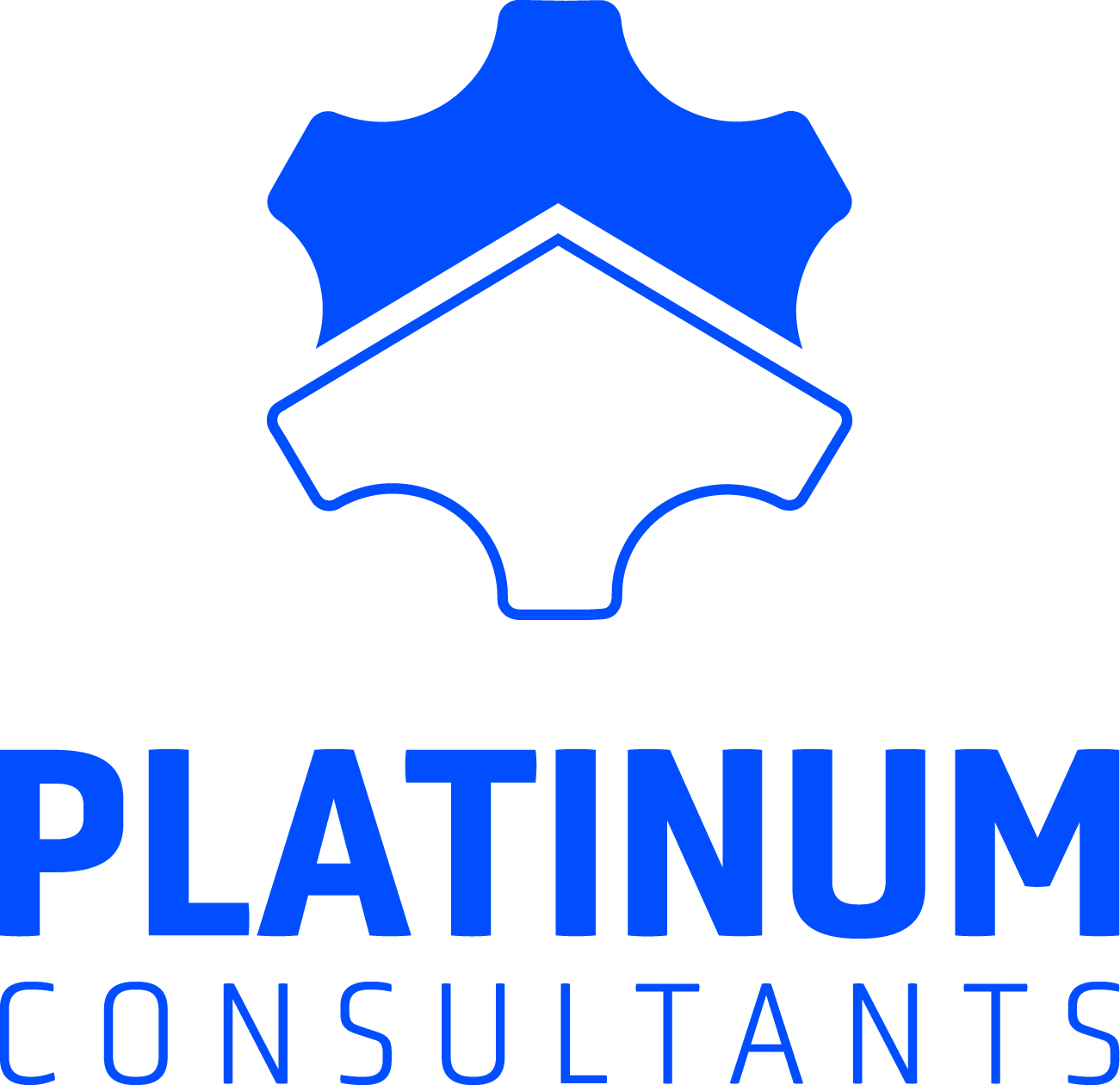 Platinum Consultants