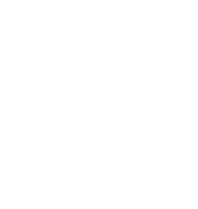 Platinum Consultants